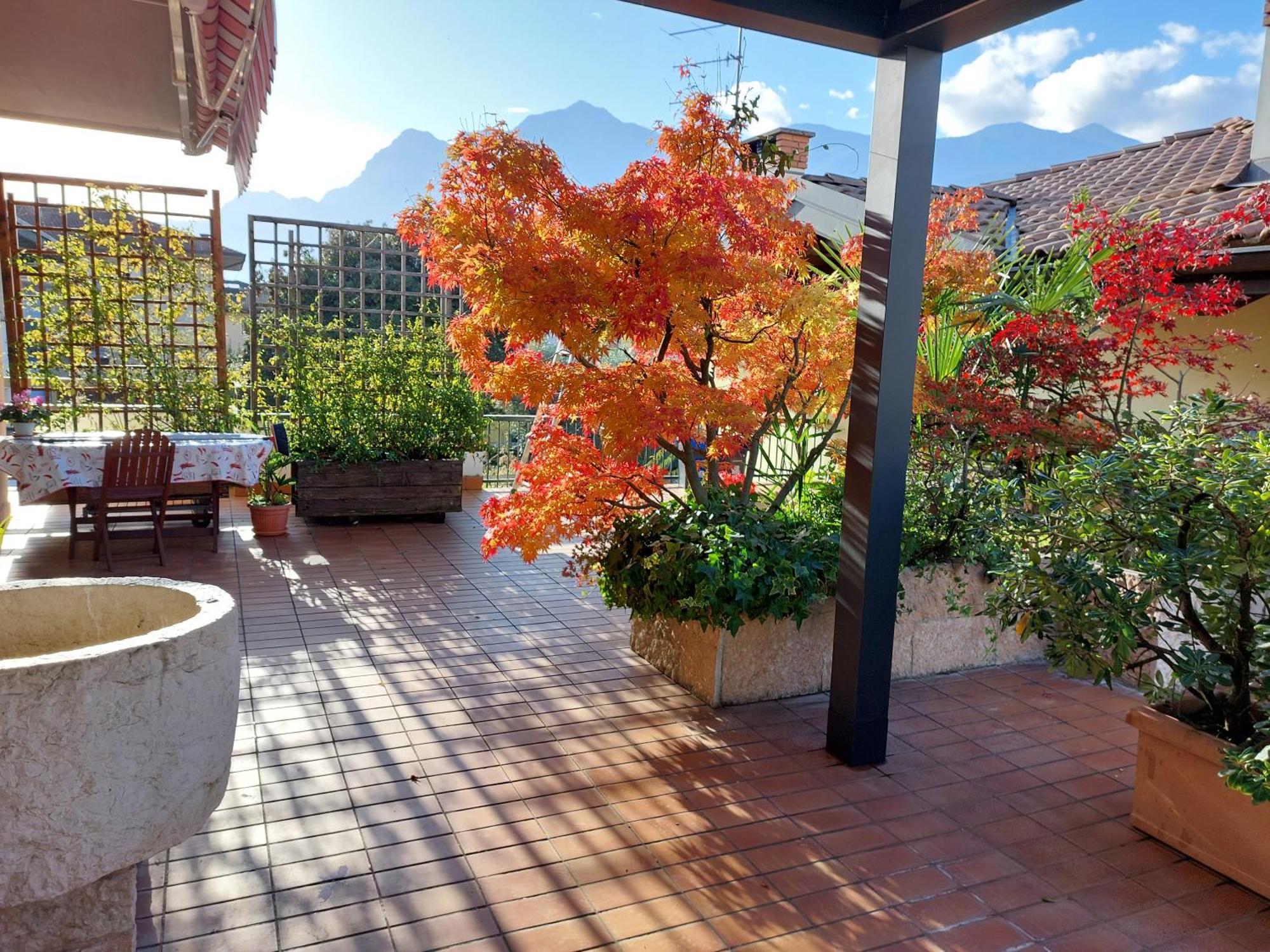 Appartamento La Terrazza Arco Eksteriør billede